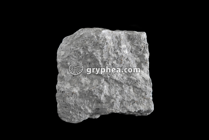 Trachyte - gryphea.com